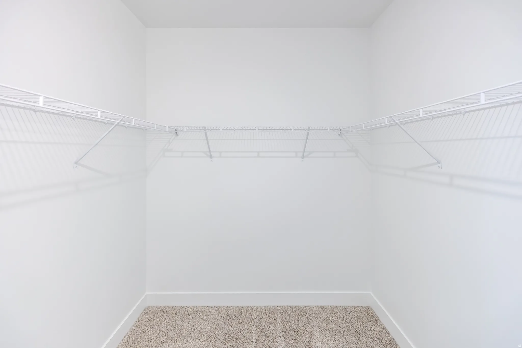 Walk-in closet with carpet flooring and wraparound wire shelving