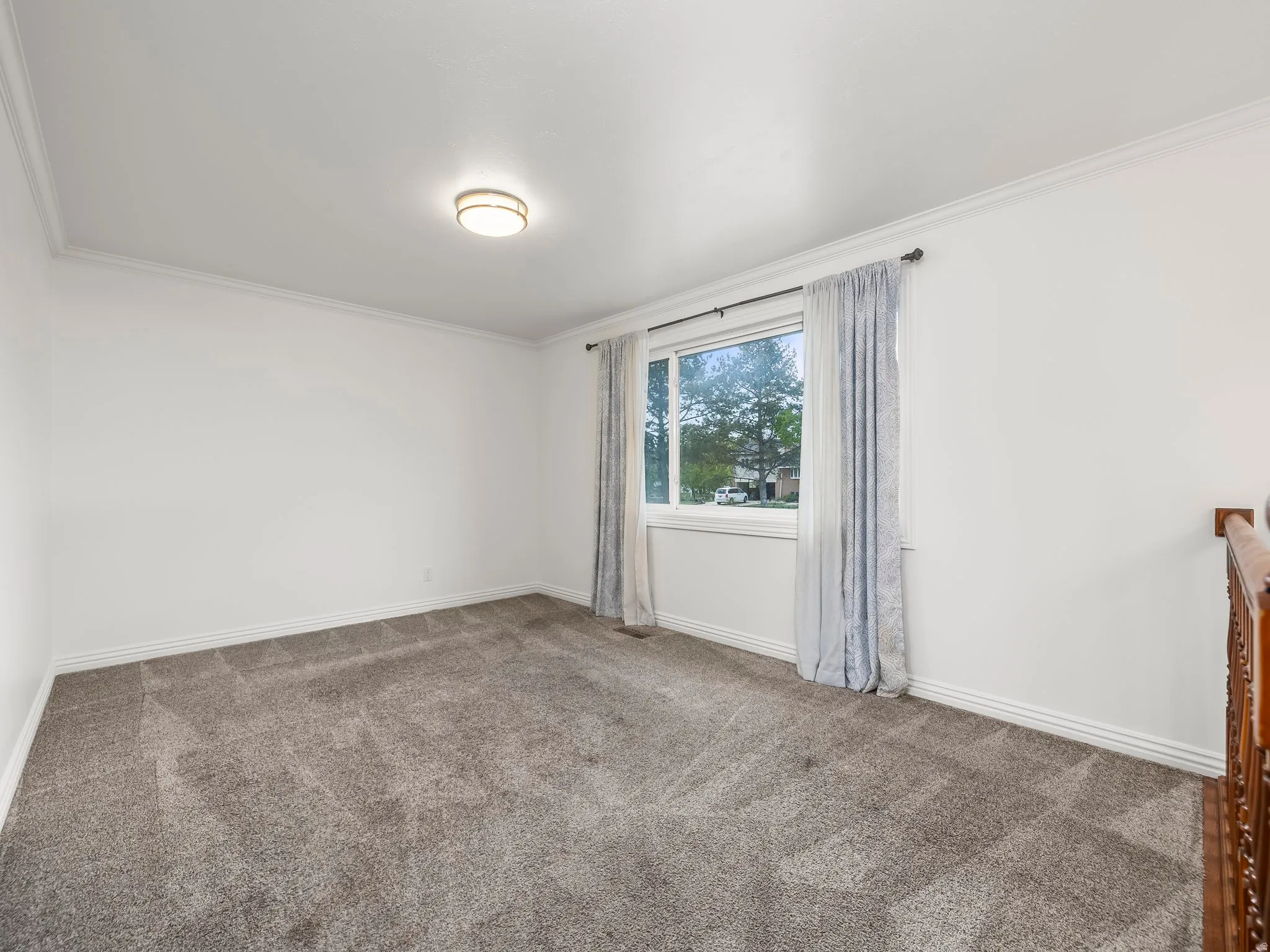 Living Room with carpet floors and crown molding