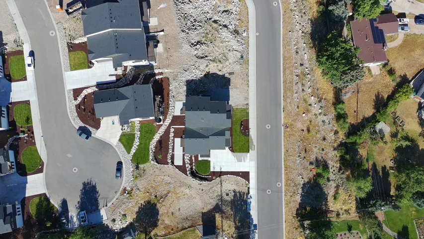 Contemporary residential property featuring a dark-toned roof, concrete driveway, and established landscaping with mature shrubs and rock accents