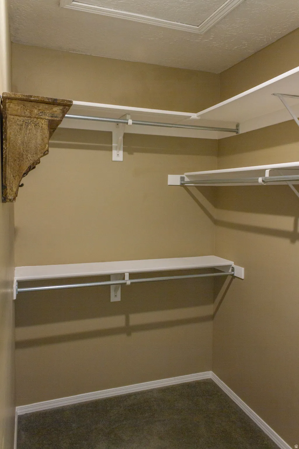 Walk in closet with carpet