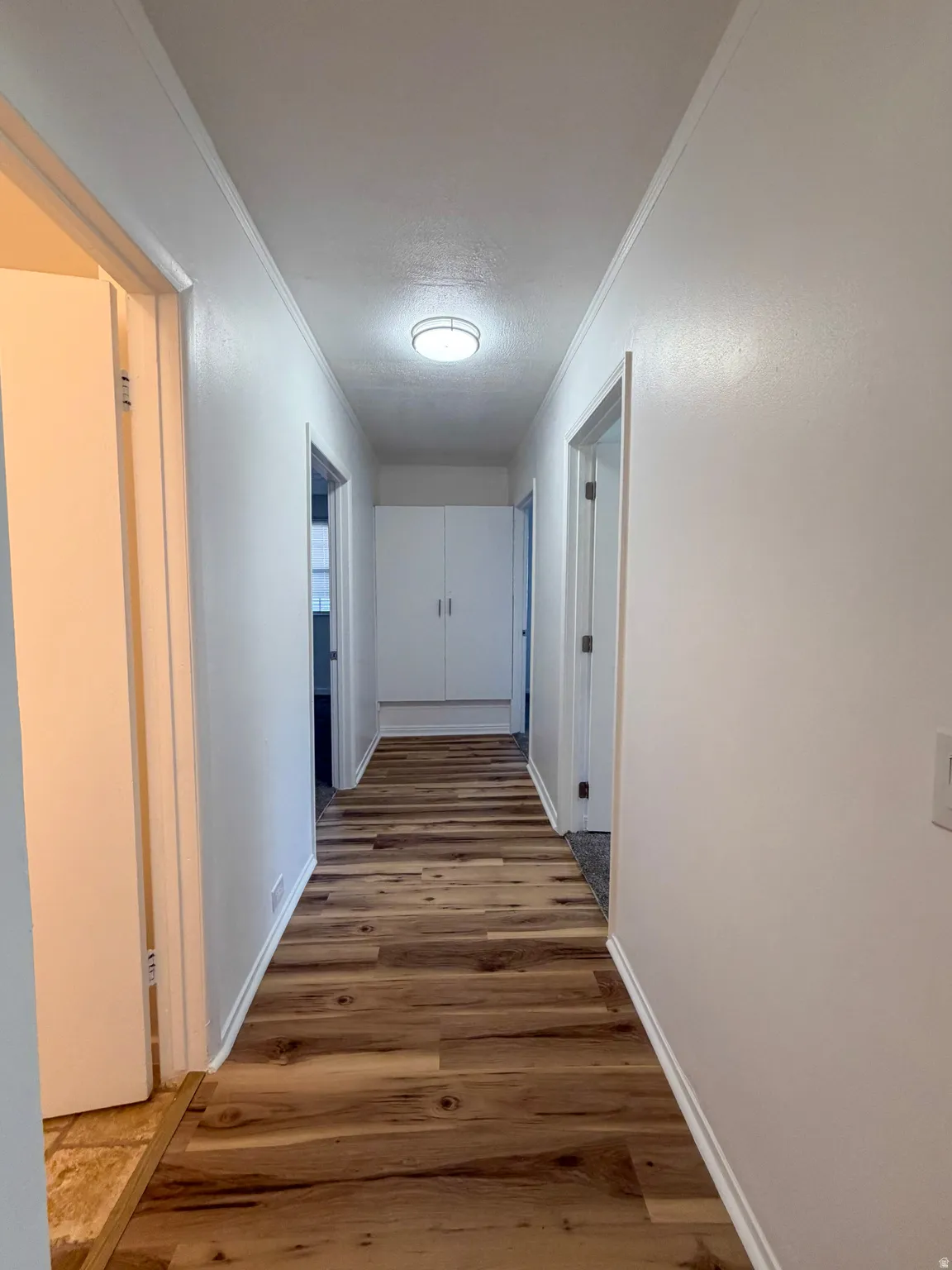 Hall with light wood-type flooring, crown molding, and a textured ceiling