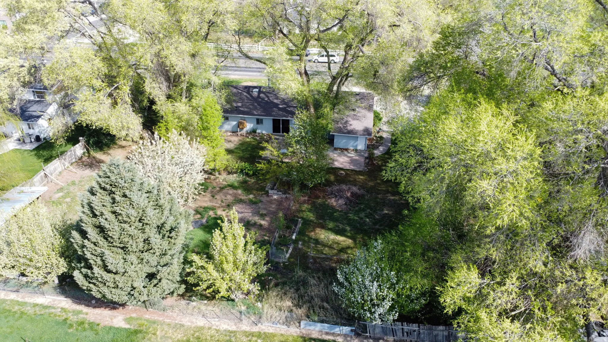 Drone / aerial view of a tree filled landscape