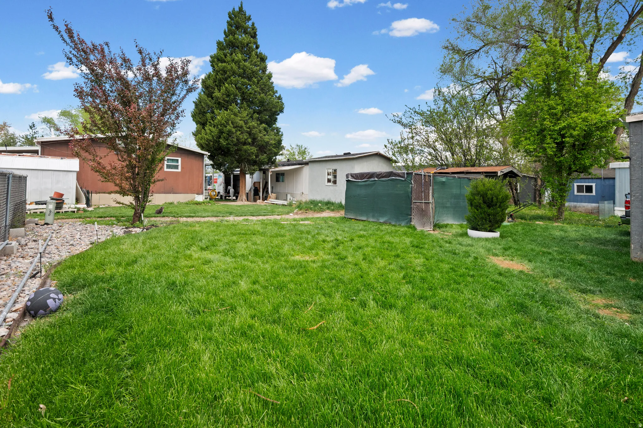 View of grassy yard