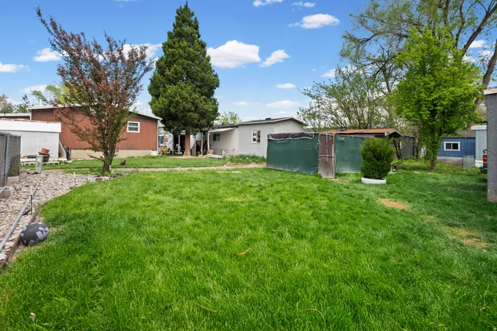 View of grassy yard