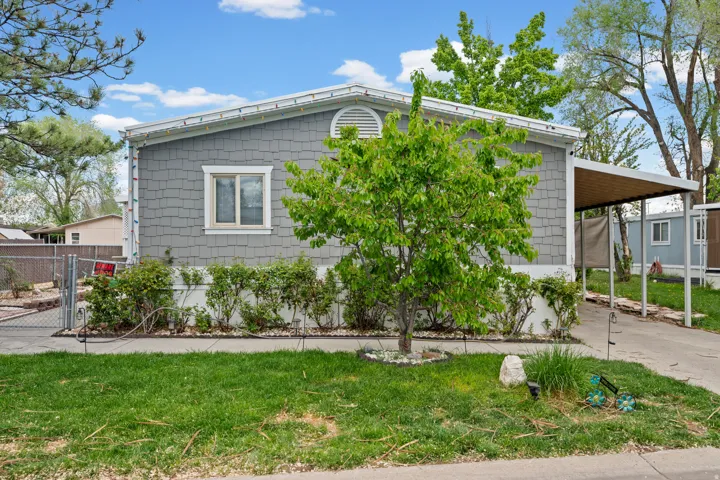 View of front of home with a carport and concrete driveway