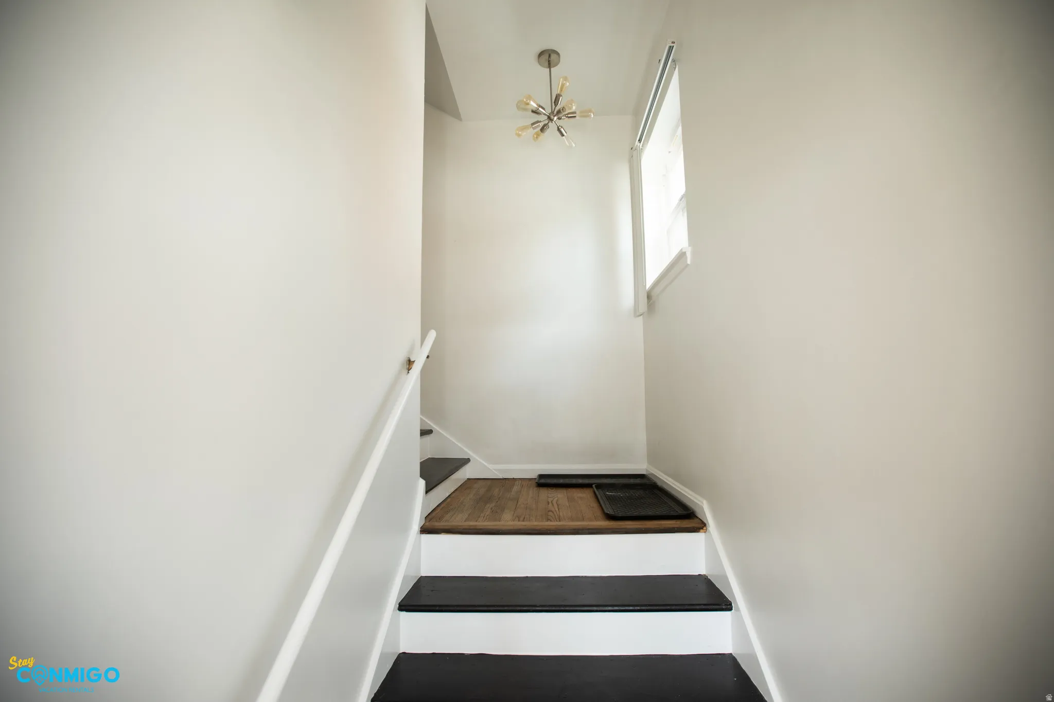 Stairs featuring suspended lighting