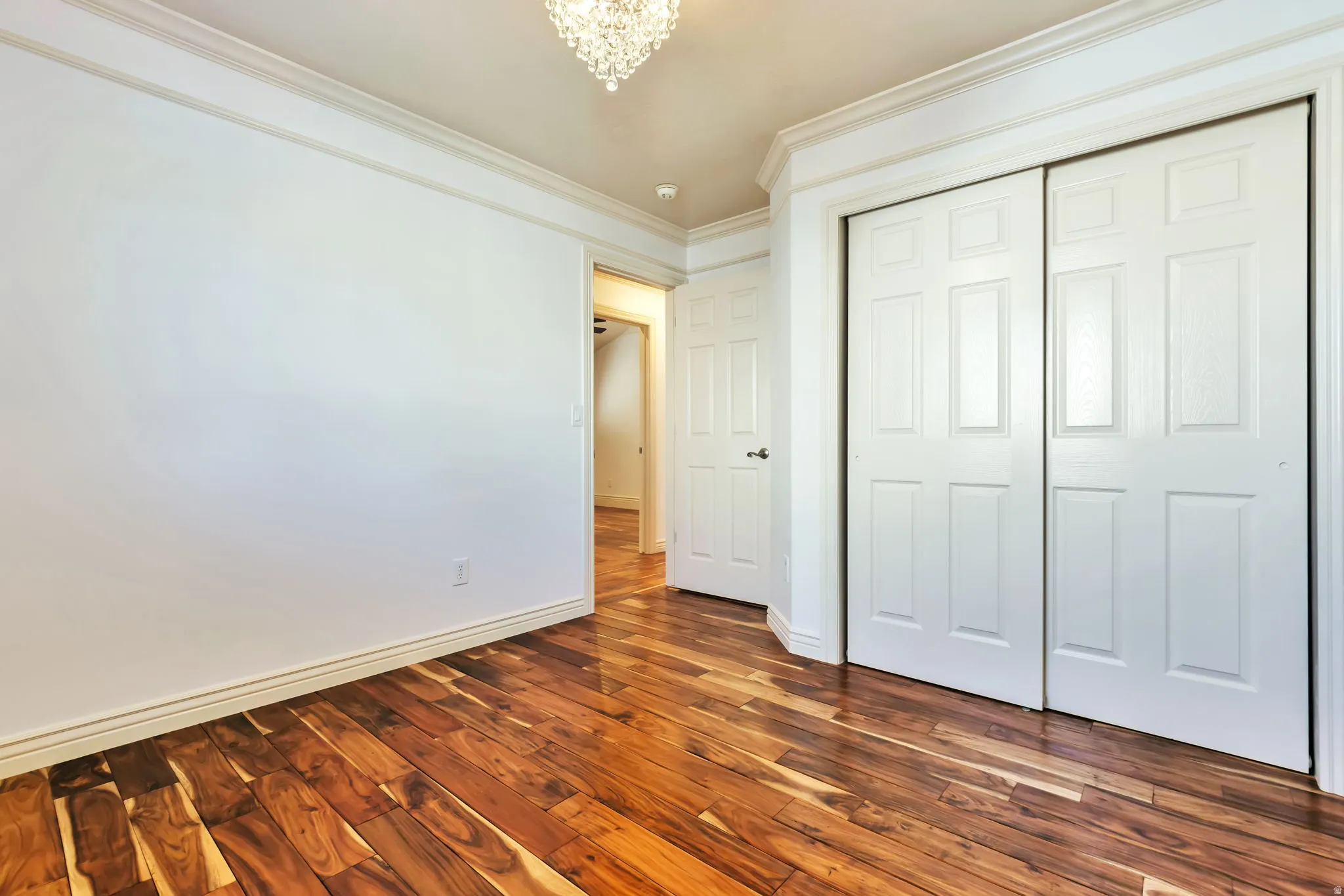 Unfurnished bedroom featuring dark wood-type flooring, ornamental molding, and a closet