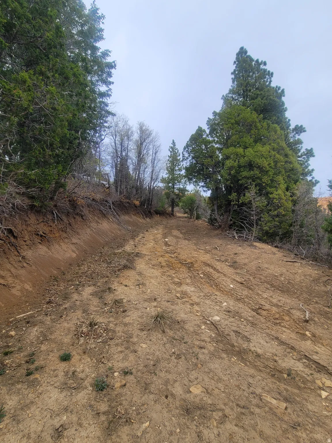 View of yard featuring a view of countryside