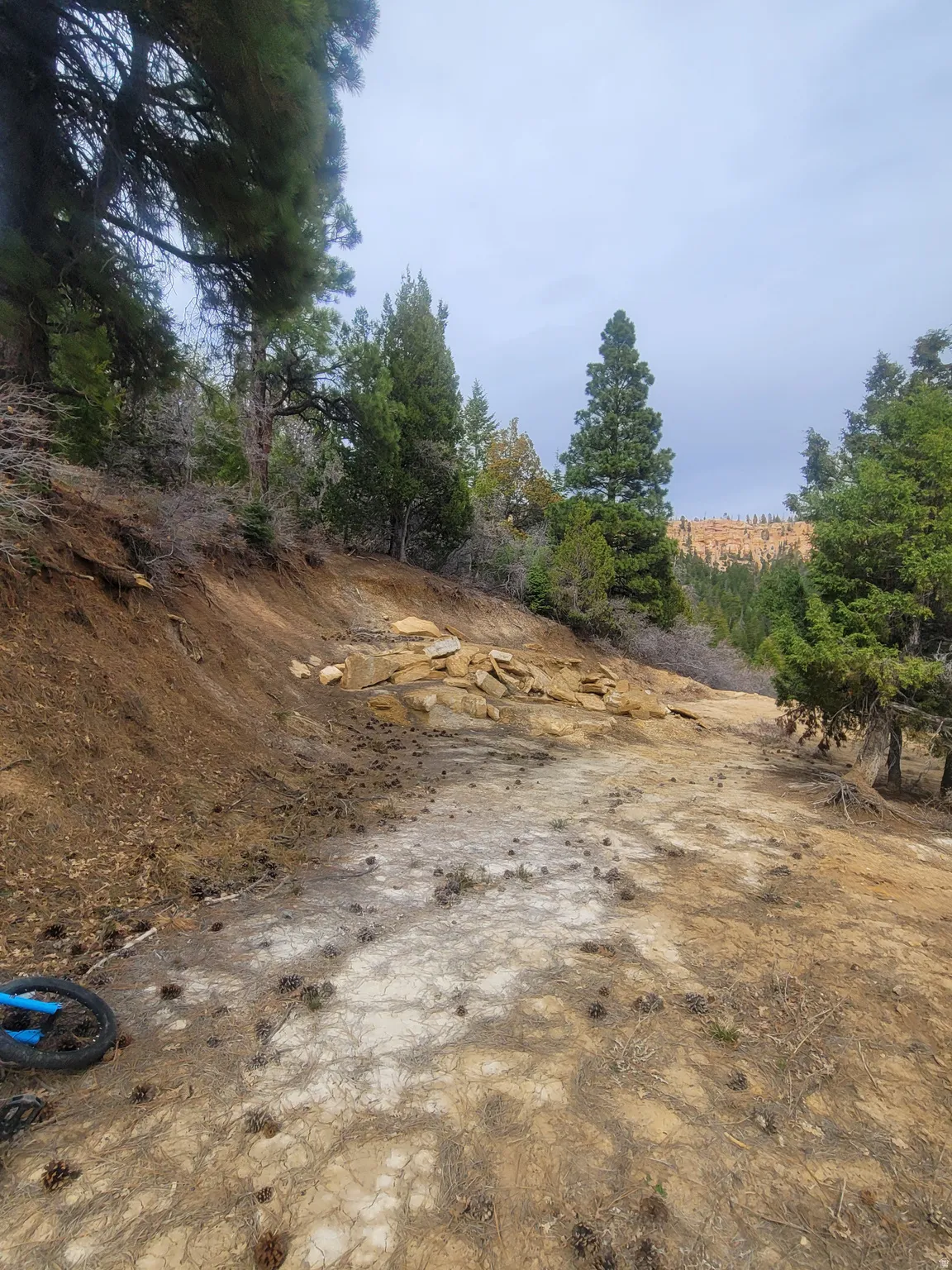 View of undeveloped land