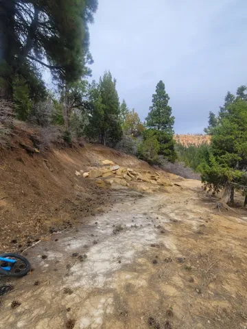 View of undeveloped land