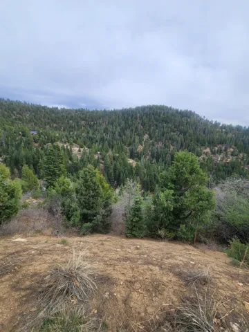 View of mountain background featuring a heavily wooded area