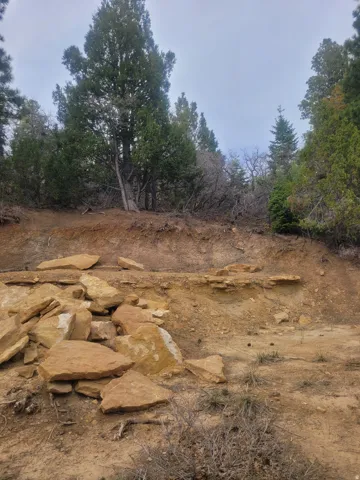 View of nature