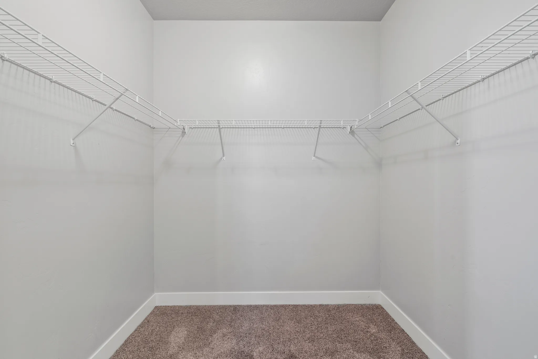 Walk in closet with carpet