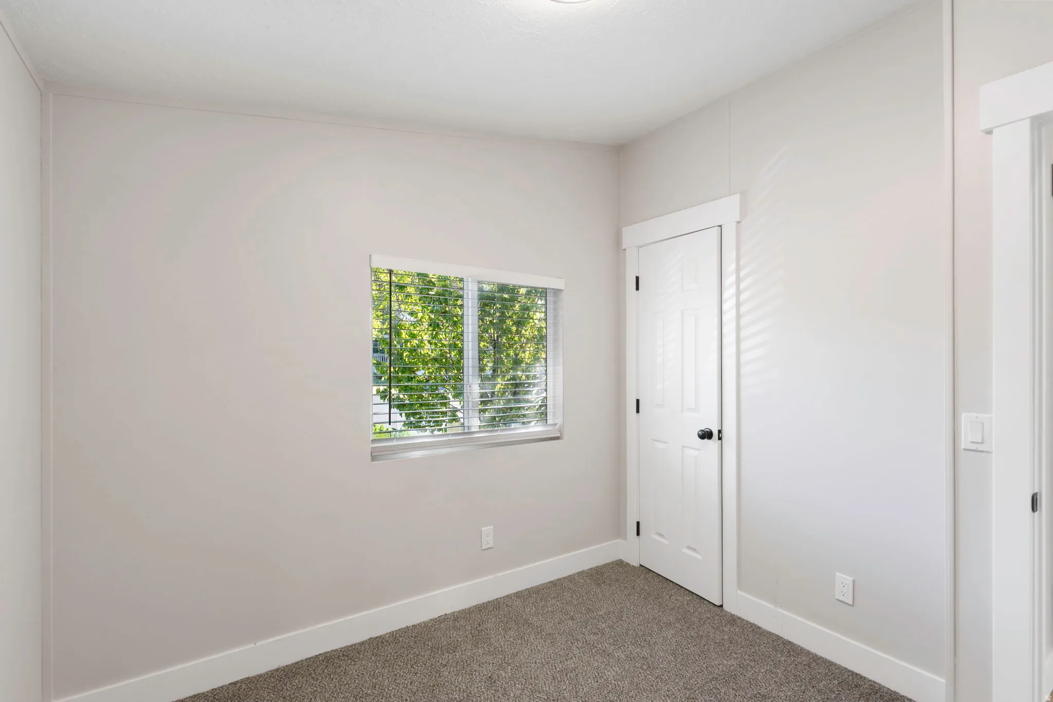 Spare room with carpet floors and baseboards