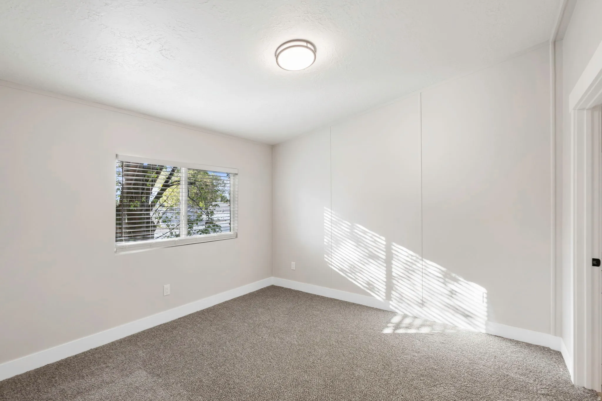 Spare room with carpet flooring and baseboards