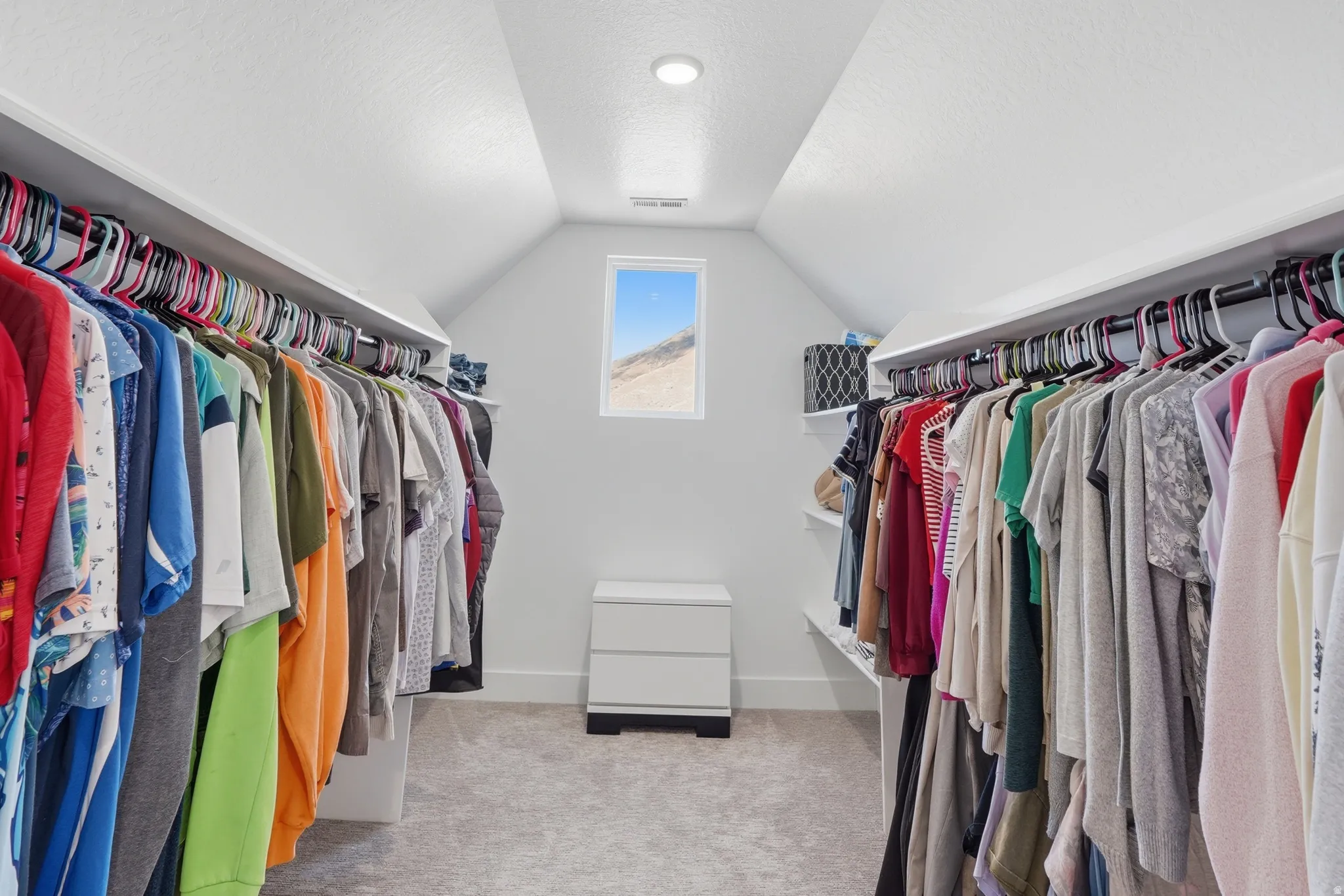 Walk in closet featuring light carpet