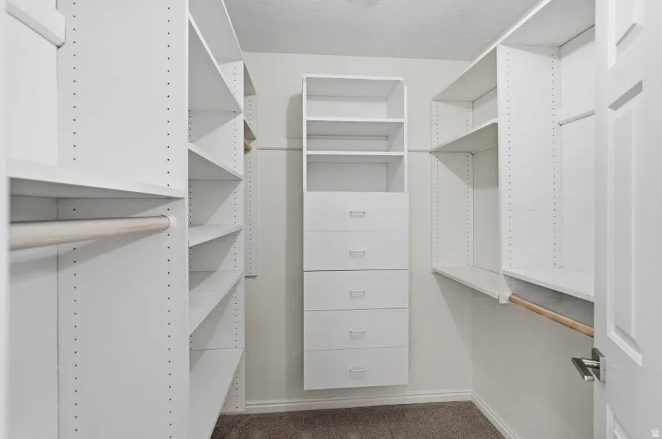 Walk in closet featuring dark colored carpet