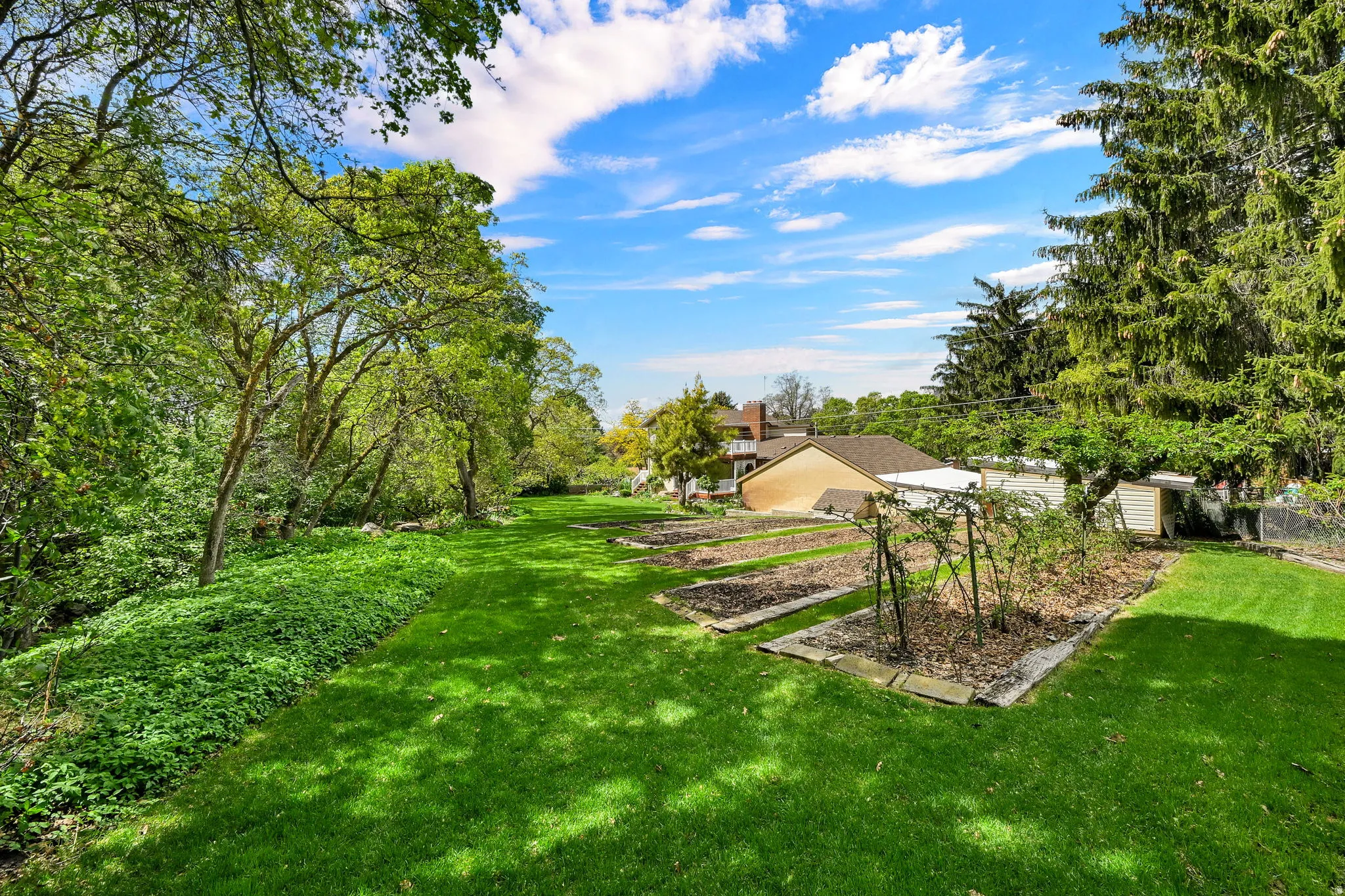View of green lawn with view of wooded area