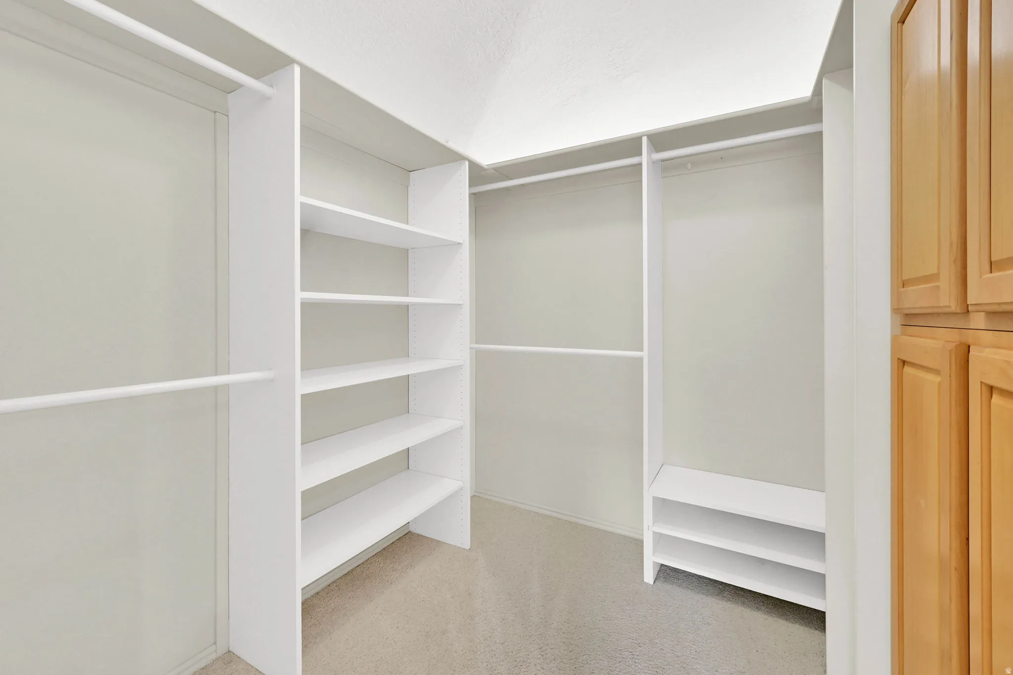 Walk in closet with light colored carpet