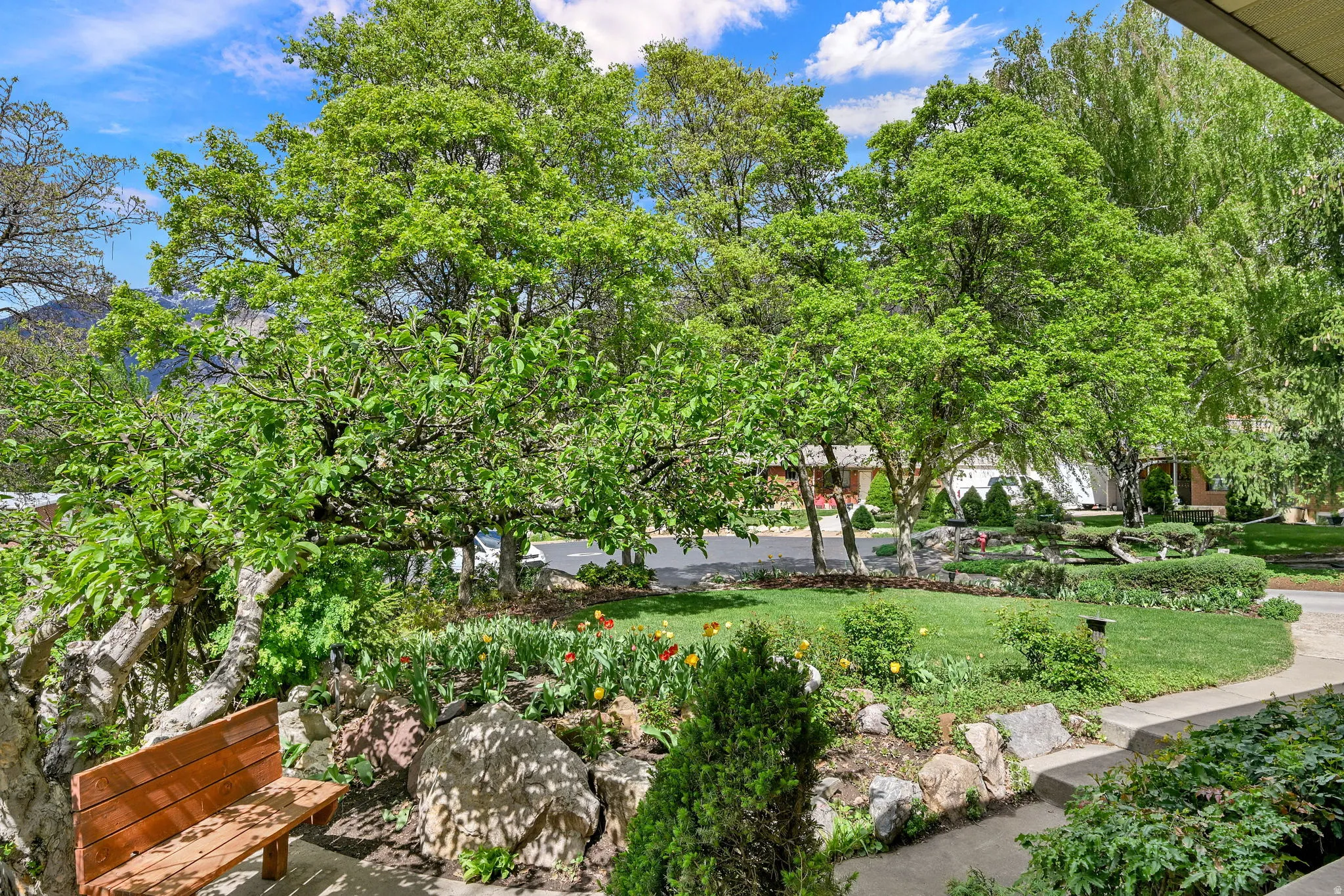 View front yard from front porch