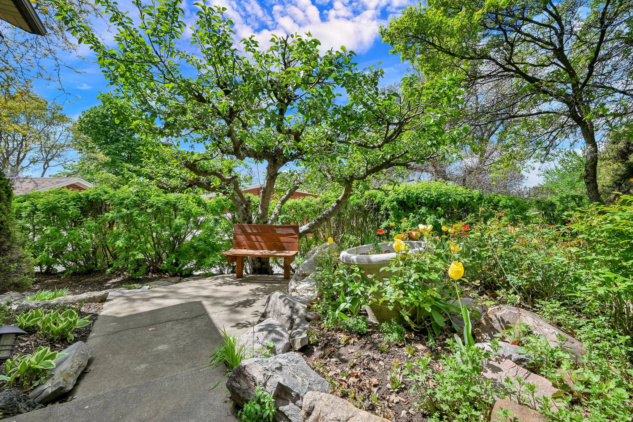 View of bench under apple tree