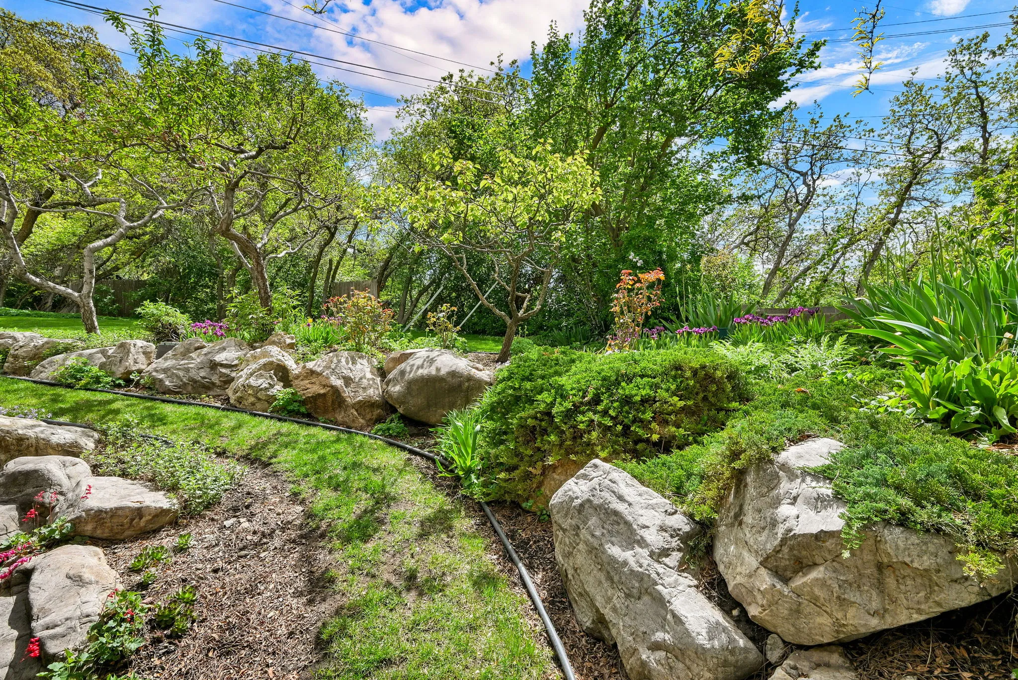 View of yard with view of wooded area