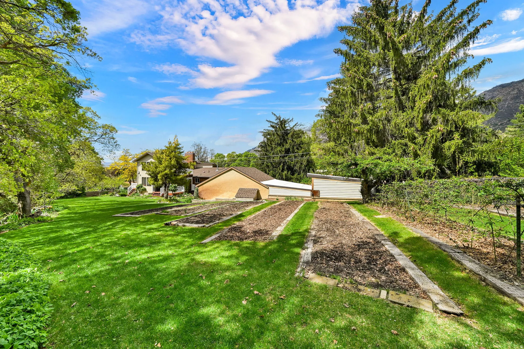 View of green lawn