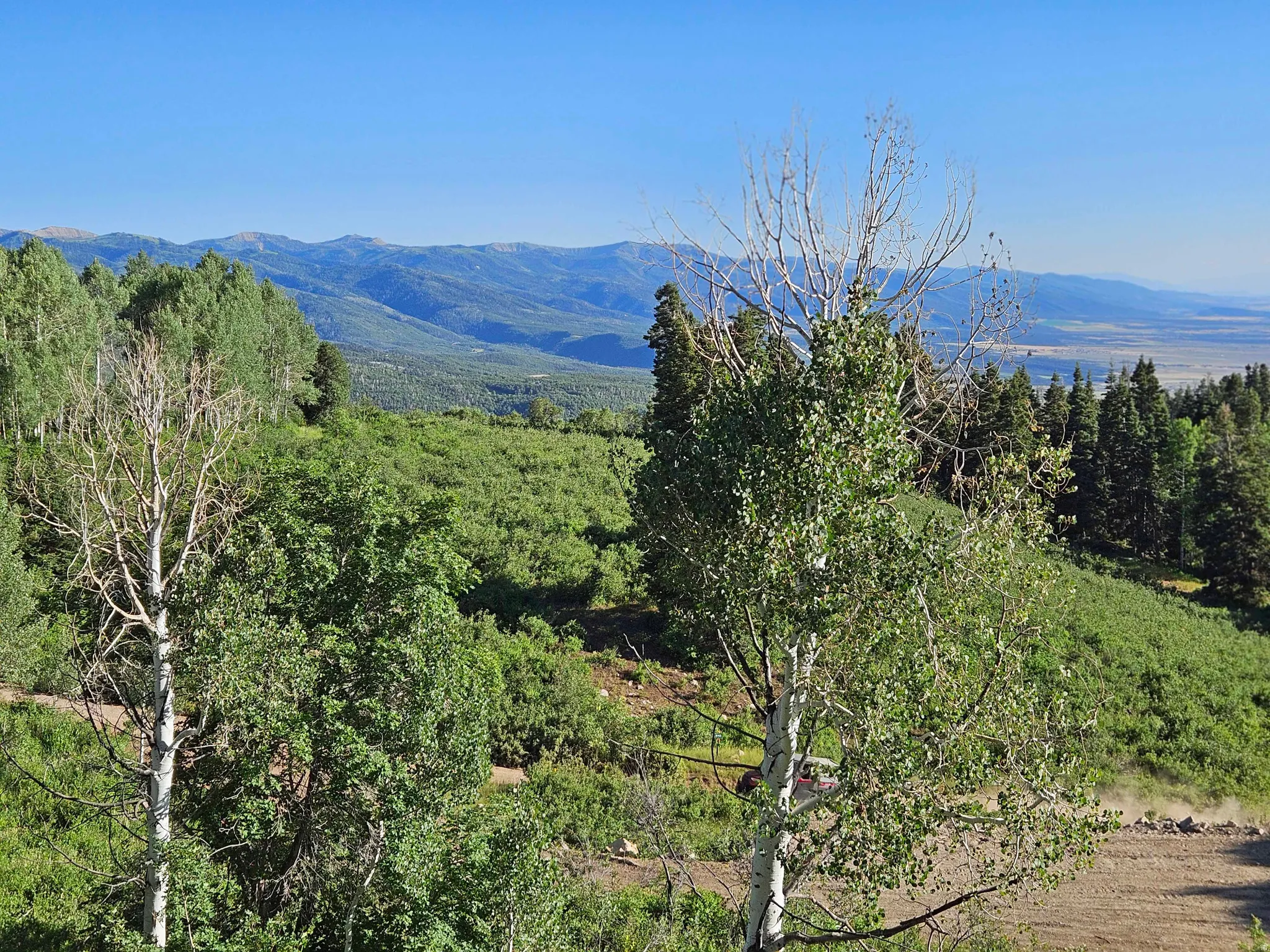 View of mountain backdrop with a heavily wooded area