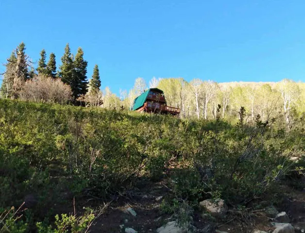View of local wilderness