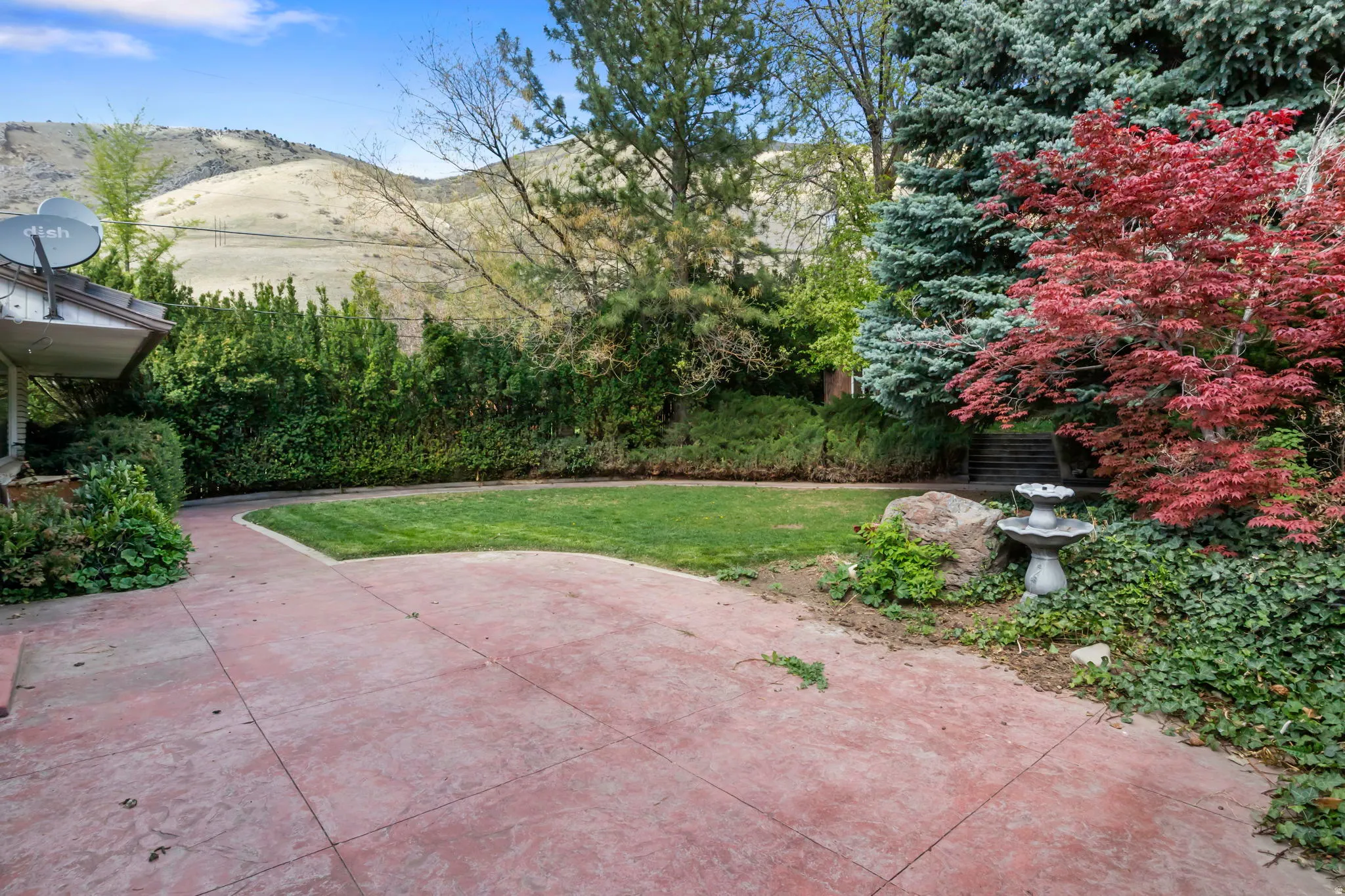 Back lawn