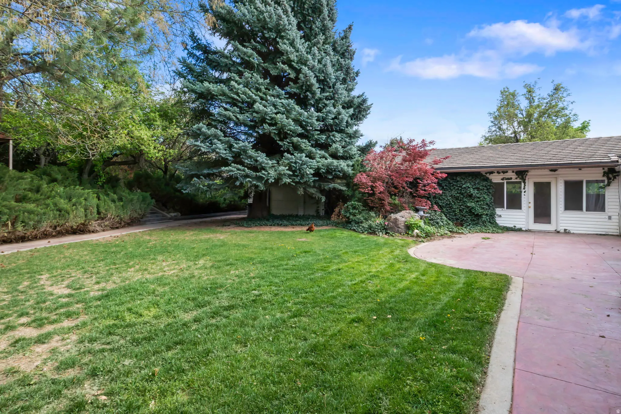 Back lawn