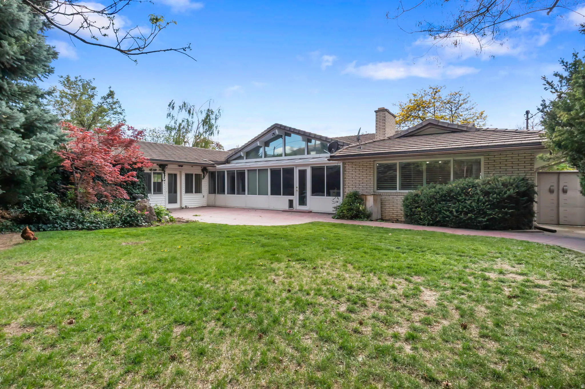 Back lawn