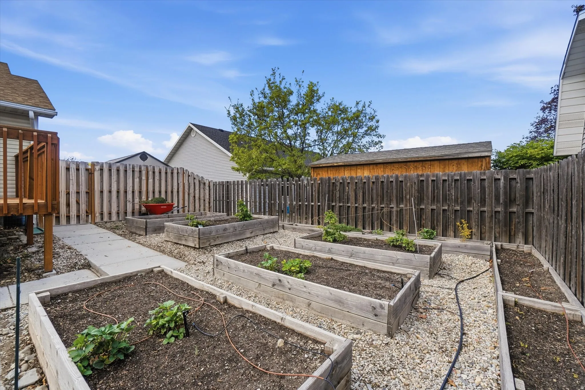 Fenced backyard with a raised garden boxes