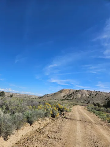 Unpaved road traversing a landscape with scattered vegetation and distant hills