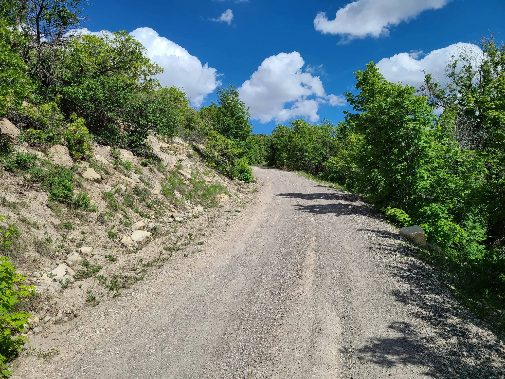 View of dirt / gravel road