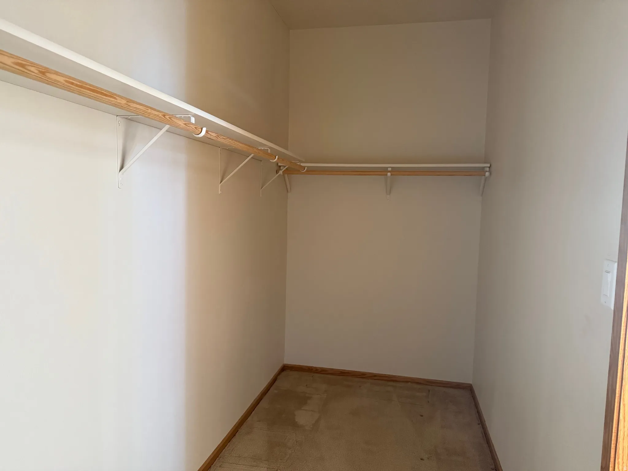 Walk in closet with light carpet