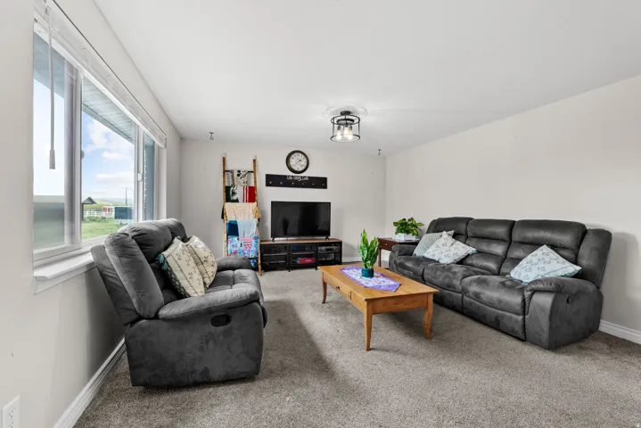Living room featuring baseboards and carpet