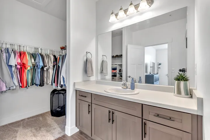 Bathroom with vanity, a walk in closet, and light wood-style floors