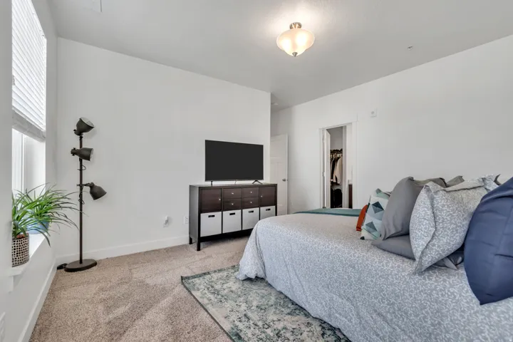 Bedroom with a walk in closet and light colored carpet