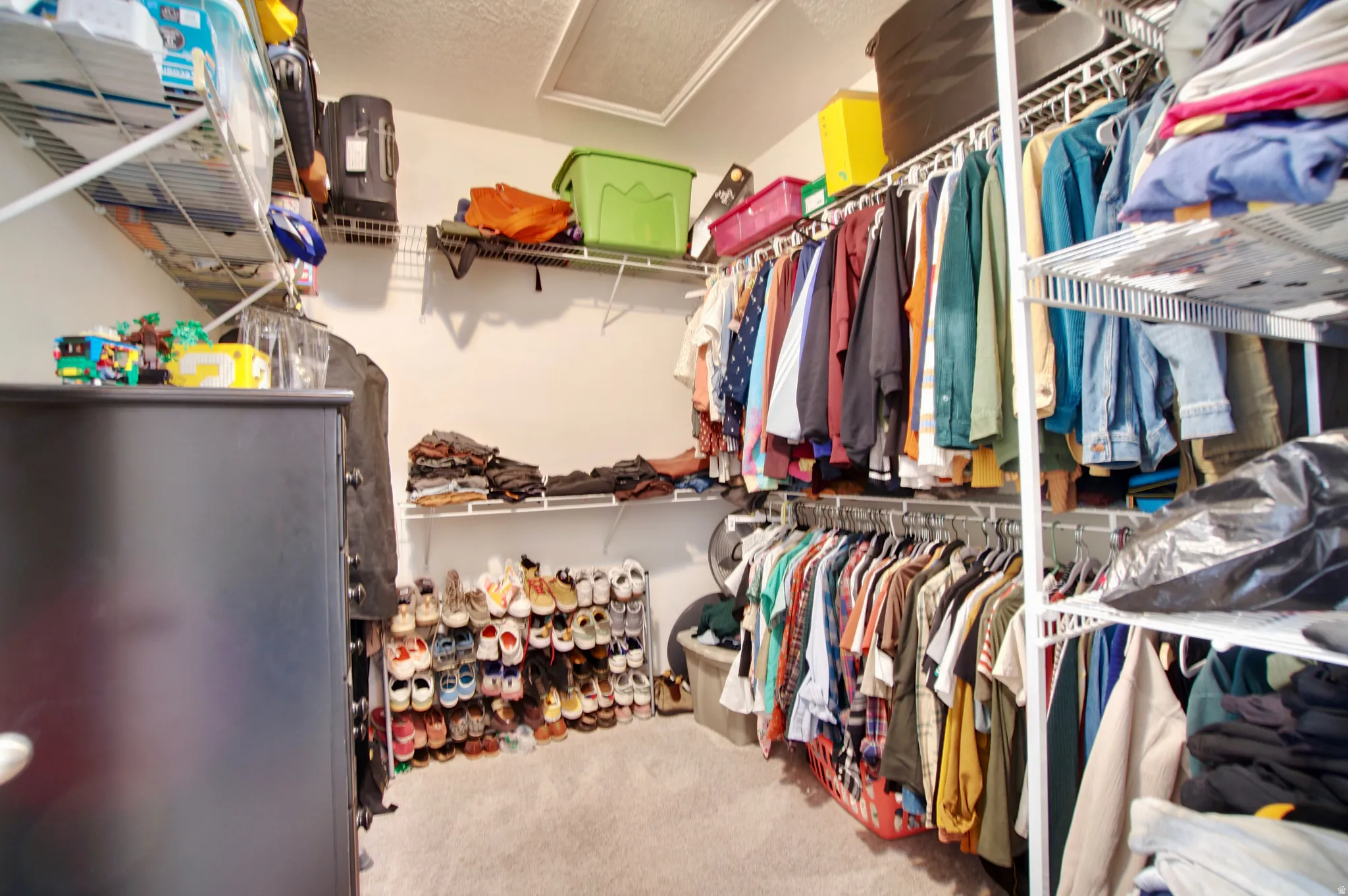 Walk in closet featuring attic access and light colored carpet
