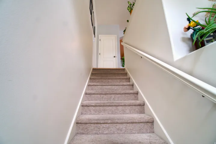 Stairs featuring carpet flooring