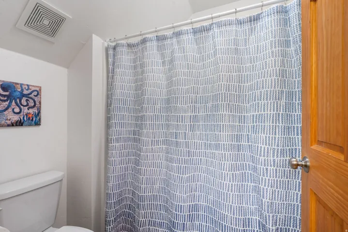 Separate shower/tub and toilet room in 2nd floor bathroom