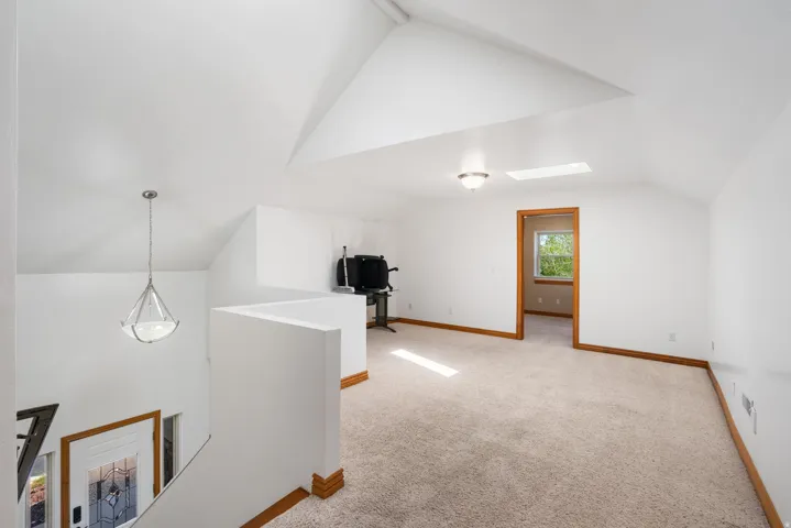 Bonus room featuring light carpet and a skylight