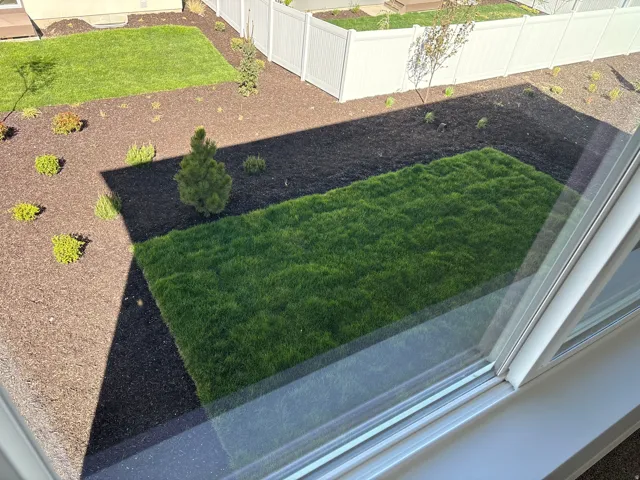 Move in ready back yard landscaping!