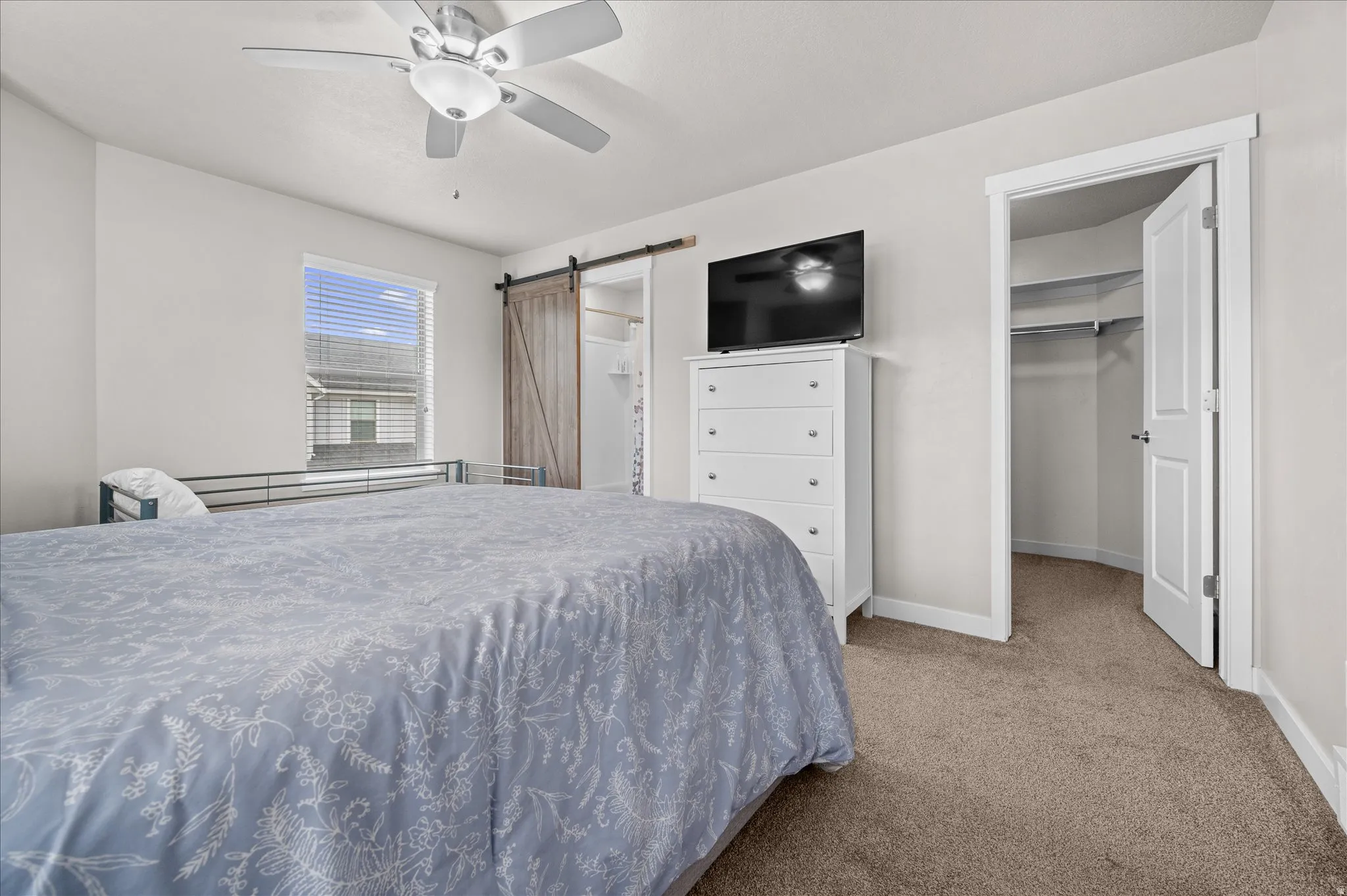 Bedroom with a walk in closet, a barn door, carpet floors, and ceiling fan