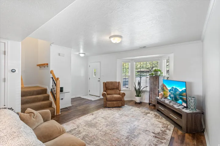 Living area featuring dark wood-style floors, crown molding, and a textured ceiling