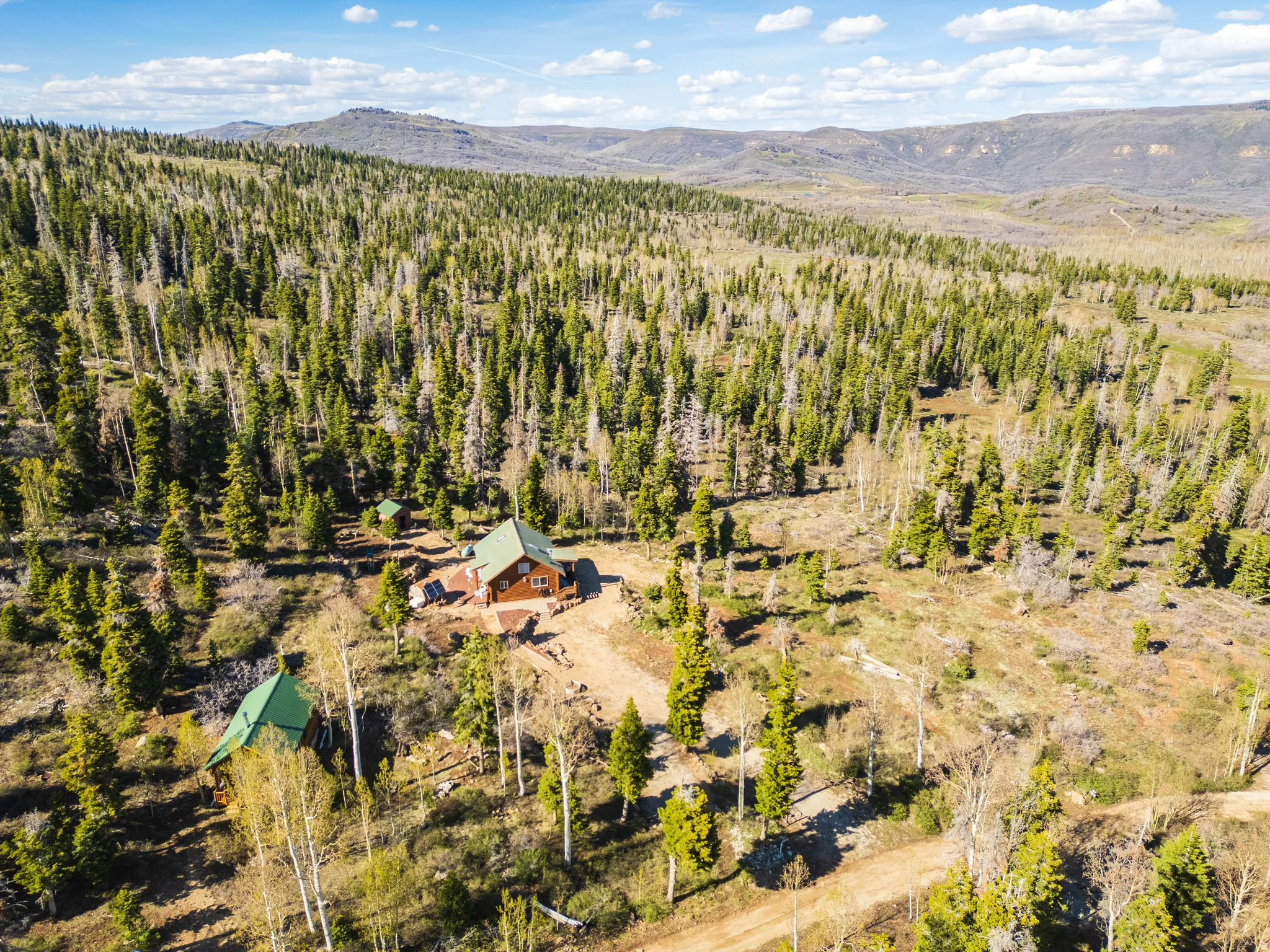 Serene Forest Canopy: Looking out over the lush treetops toward the distant horizons.