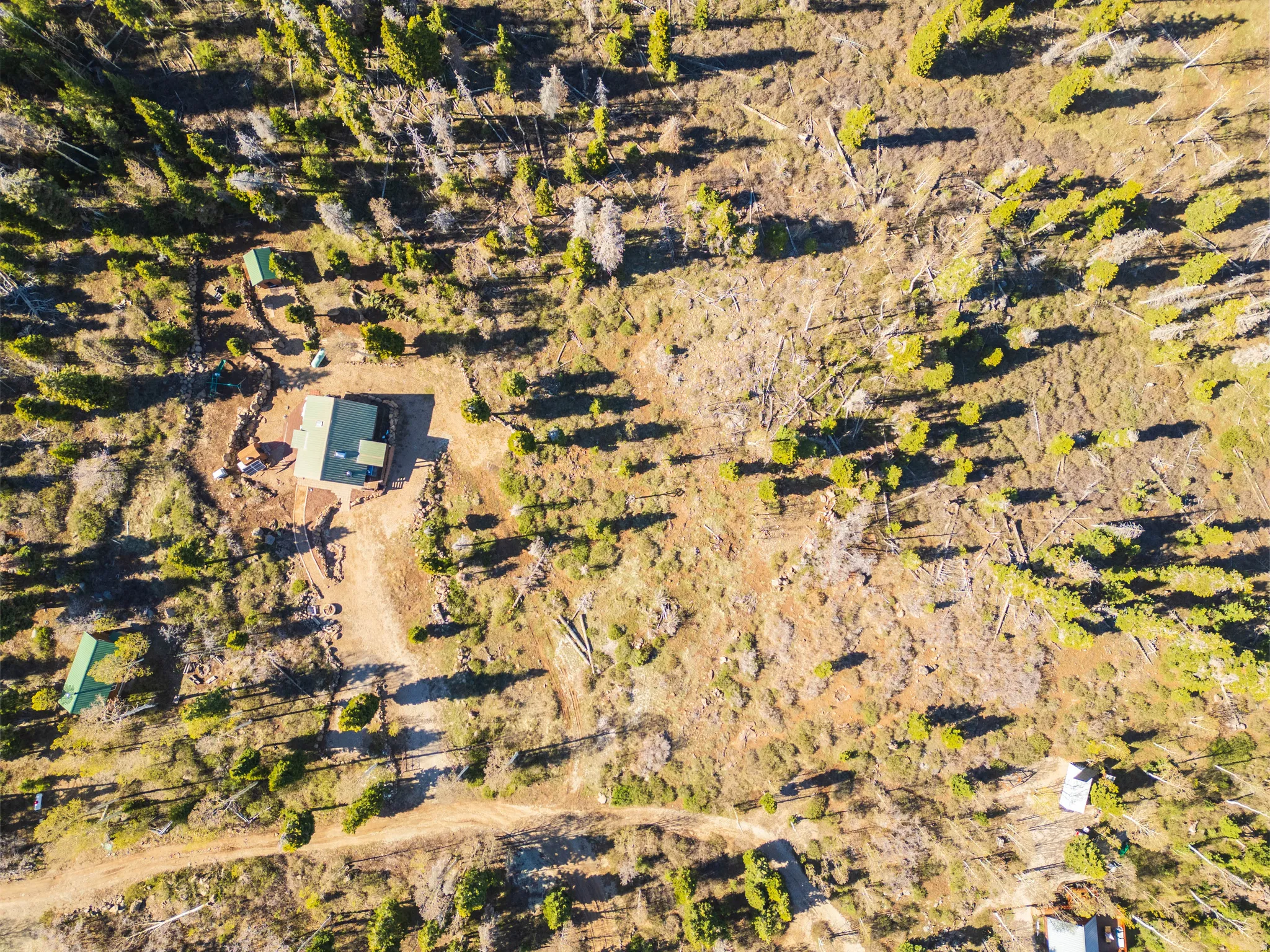 Property Site Plan: High-down angle showing the relationship between structures and the land.