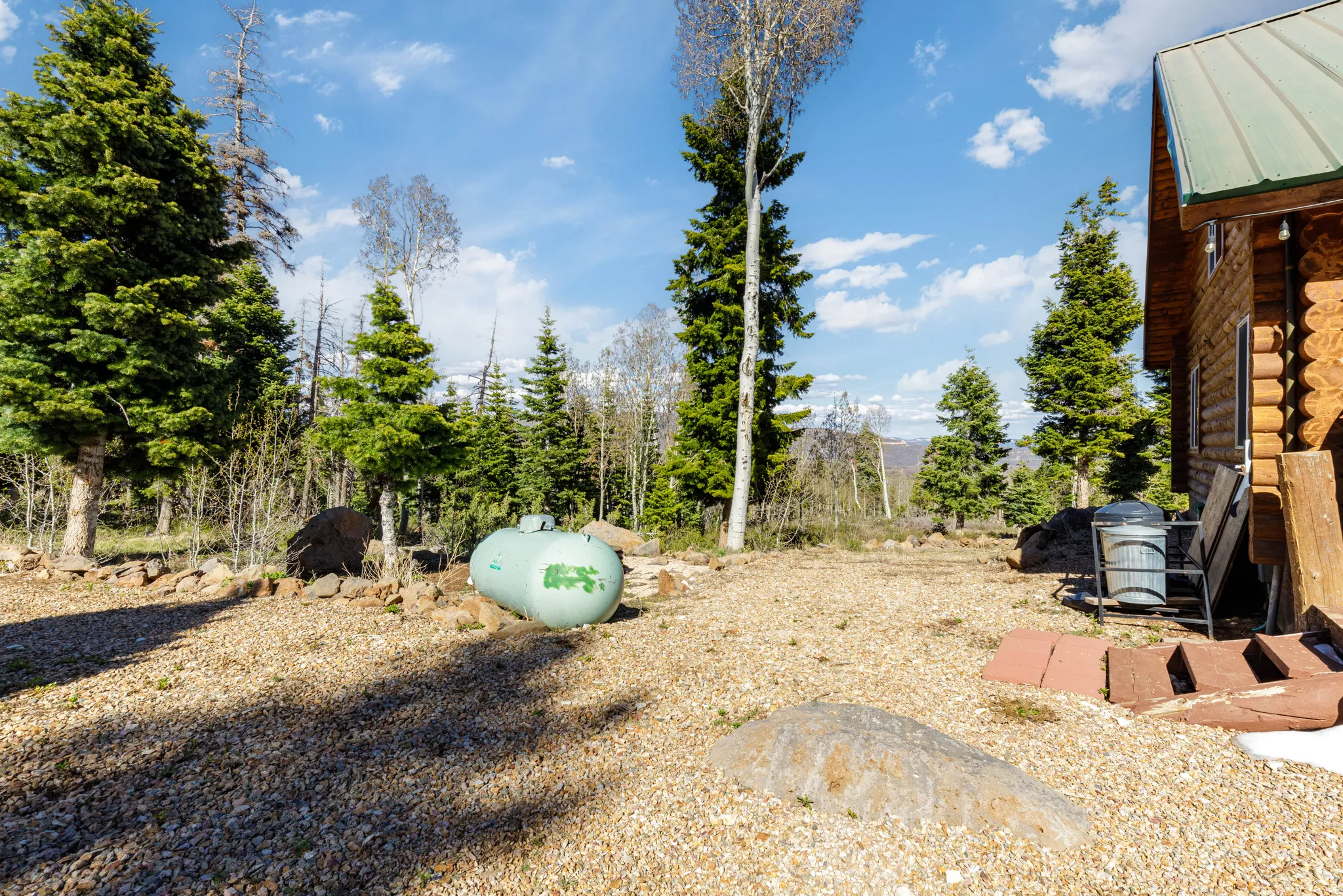 Propane & Side Yard: Well-maintained utility area with easy access to fuel services.