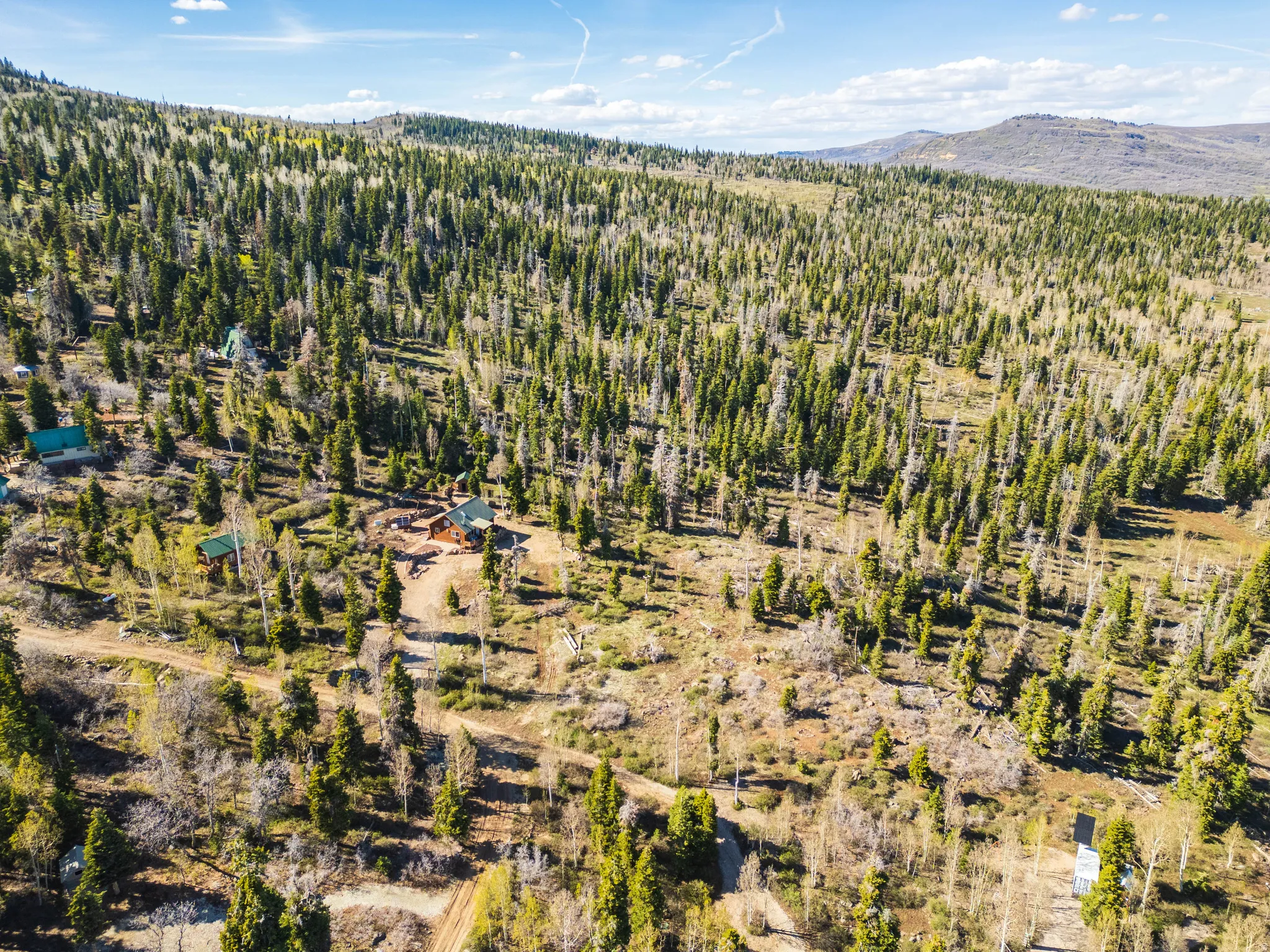 Distant Zion Plateaus: Incredible views stretching toward the iconic red rocks of Zion National Park.